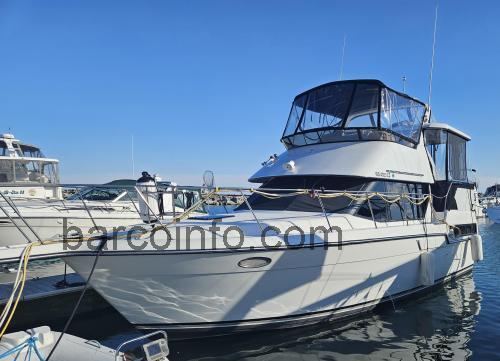 Carver 33 opinión y ficha técnica